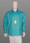 Vishwajanani Luminous Hue Shirt