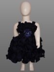 Vishwajanai Purple Haze Kids Frock