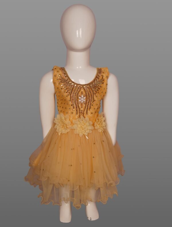 Vishwajanani Bold Tiger Orange Kids Frock