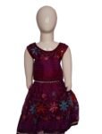 Vishwajanani Castro Kids Frock Bold