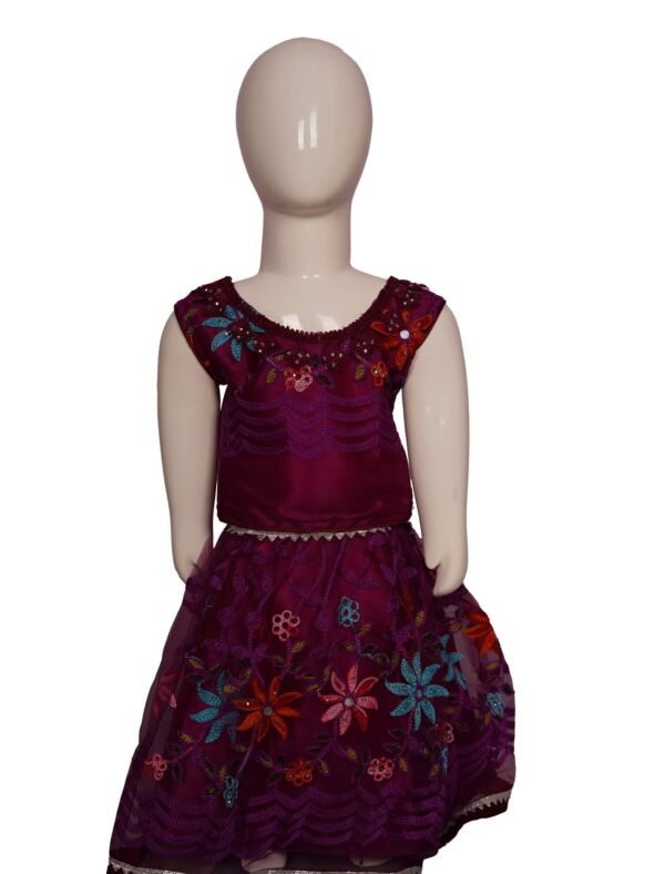 Vishwajanani Castro Kids Frock Bold