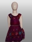 Vishwajanani Castro Kids Frock Bold