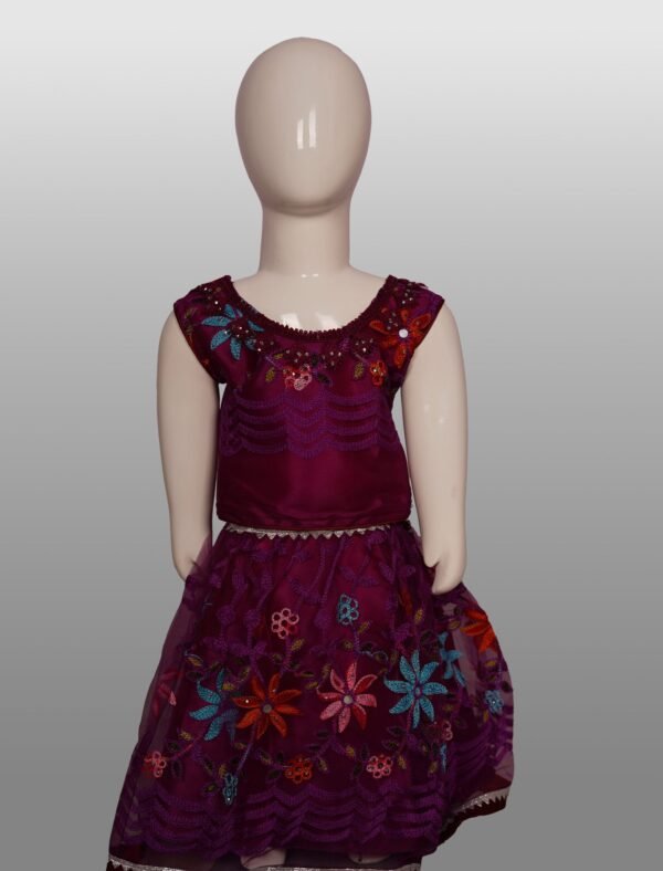 Vishwajanani Castro Kids Frock Bold