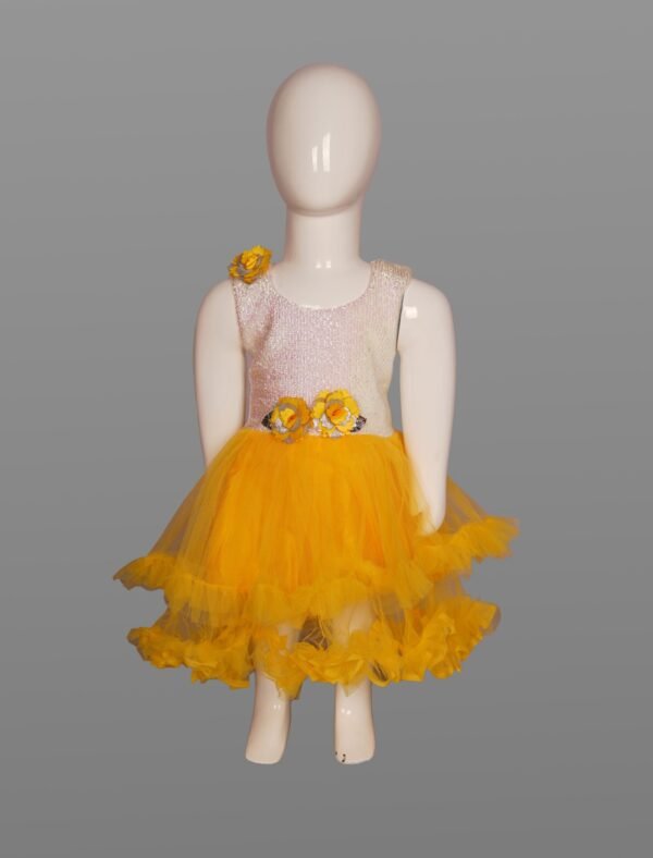 VishwaJanani Mango Tango Frock